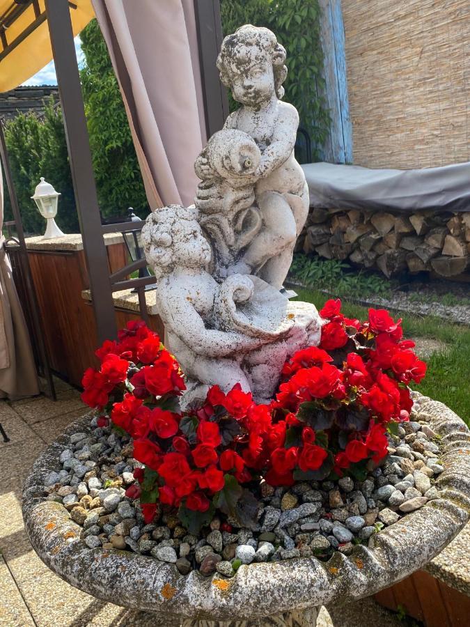 Penzion Vila Petra Bed&Breakfast Wielki Sławków Zewnętrze zdjęcie