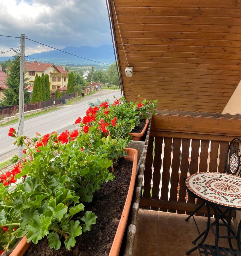 Penzion Vila Petra Bed&Breakfast Wielki Sławków Zewnętrze zdjęcie
