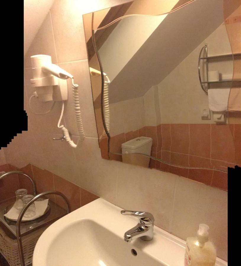Penzion Vila Petra Bed&Breakfast Wielki Sławków Zewnętrze zdjęcie